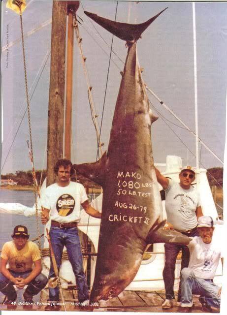 Photo of a large mako shark caught by fishermen.