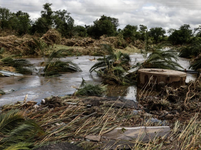 全年免费资料大全了_南非宣布洪灾发生