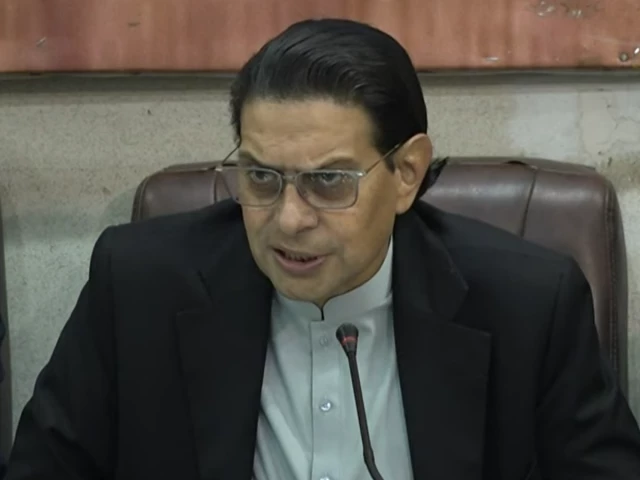 246天天彩(944CC)246_PTI的萨尔曼·拉贾说，当国家拒绝被征服时，压迫就会结束