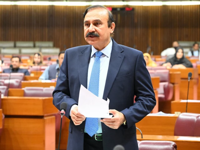 参议院表示，2022年的洪水承诺主要是软贷款