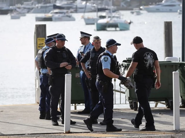 在悉尼港，鲨鱼咬伤了一名少年