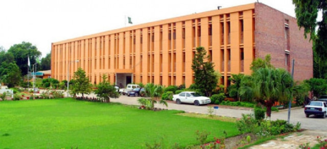 六含彩_专家强调社会包容有利于青年赋权