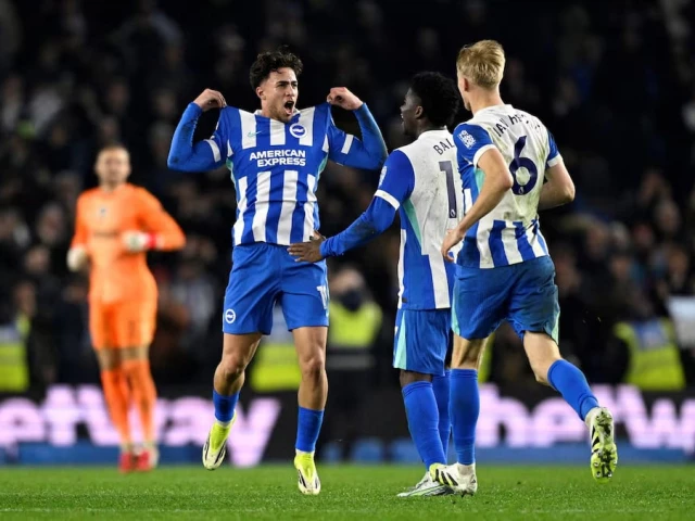 平特藏宝图免费观看_科斯塔拉斯的顶球挽救了布莱顿对伯恩茅斯的比赛