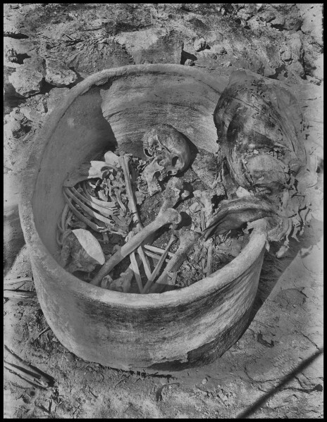This photo provided by researchers shows a pottery vessel containing the remains of a man, radiocarbon dated to around 2855–2570 cal BCE, in Nuwayrat, Egypt. (John Garstang, Mahmoud Abd El Gelel/Garstang Museum of Archaeology/University of Liverpool via AP)