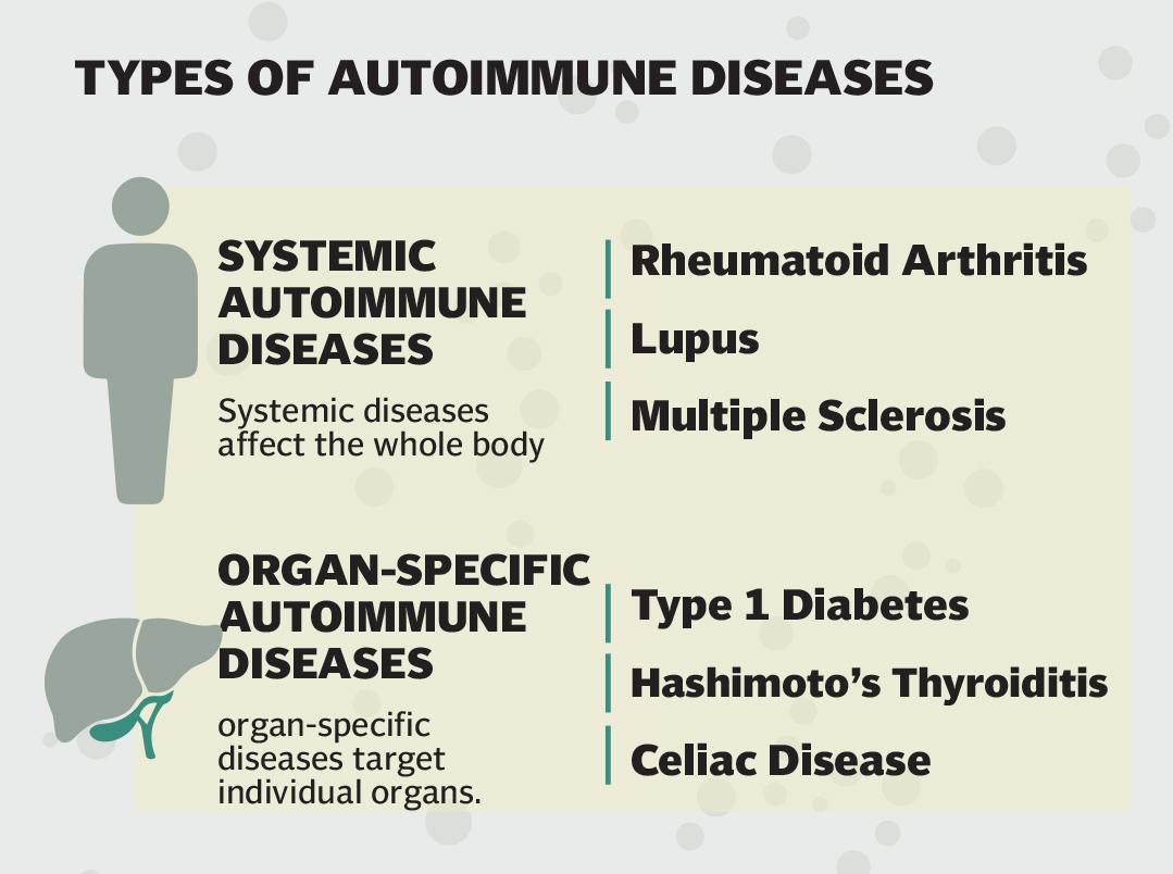 Macintosh HD:Users:ZeeshanAhmad:Desktop:Magazine:Stories:spread:autoimmune 7.jpg