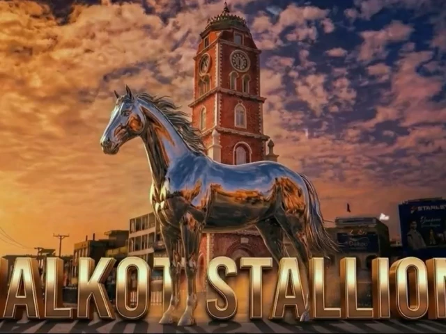 在PSL 11之前，Sialkot Stallionz推出了最新的特许经营权