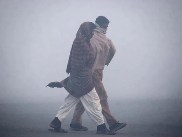 澳门管家婆生肖预测准不准_该市记录了本季度最冷的温度