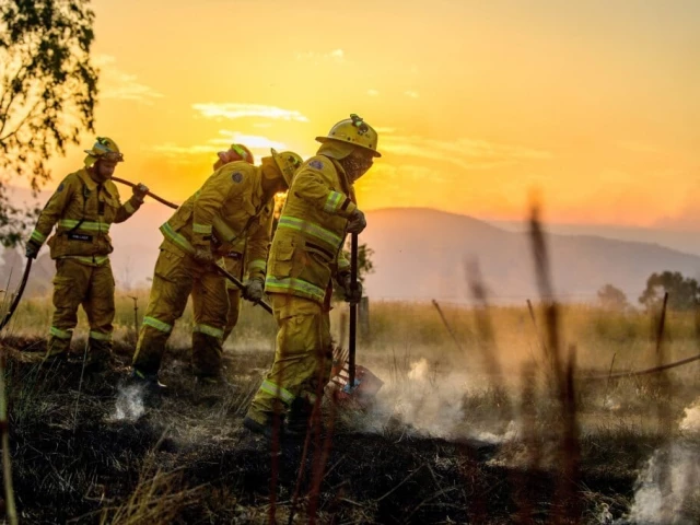 111333查询网站_在澳大利亚毁灭性的森林大火中发现了人类遗骸